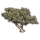 ON-icon-furnishing-Tree, Young Sea Grapes.png
