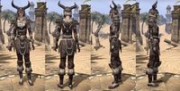 ON-item-armor-Nord Medium 4 Female.jpg