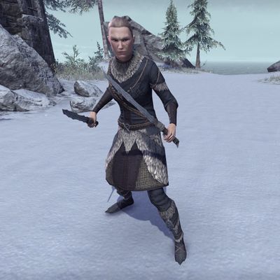 Online:Icereach Rogue - The Unofficial Elder Scrolls Pages (UESP)