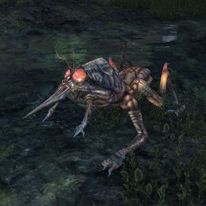 Online:Nix-Hound Prowler - The Unofficial Elder Scrolls Pages (UESP)