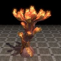 ON-furnishing-Antler Coral, Glowing Branched Crimson.jpg