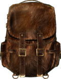 Skyrim:Adventurer's Backpack Items - The Unofficial Elder Scrolls Pages ...