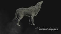 BS5C-load-Cyrodiil's wolves may be less savage than those of Skyrim.jpg