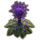 ON-icon-furnishing-Plant, Dendritic Hist Bulb.png