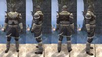 ON-item-armor-Icereach Coven Heavy.jpg