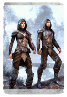 ON-card-Elven Hero Armor.png