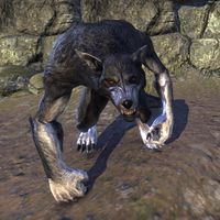 ON-creature-Tragg the Feaster 02.jpg