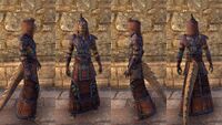 ON-item-armor-Argonian Light Robe 2 Male.jpg