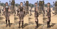 ON-item-armor-Breton Medium 1 Female.jpg
