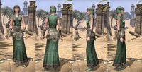 ON-item-armor-Nord Light Robe 1 Female.jpg