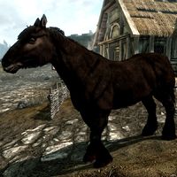 Skyrim:Horses - The Unofficial Elder Scrolls Pages (UESP)