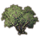 ON-icon-furnishing-Trees, Shade Interwoven.png
