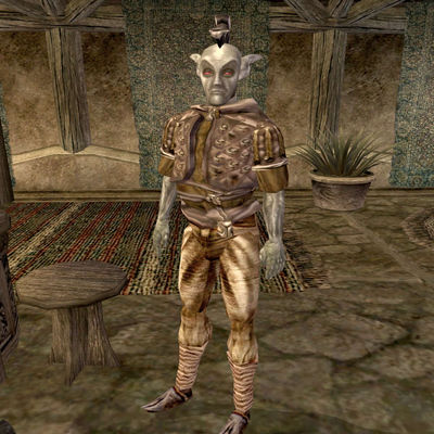 Morrowind:Sakin Sanammasour - The Unofficial Elder Scrolls Pages (UESP)