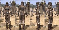 ON-item-armor-Rawhide-Orc-Female.jpg