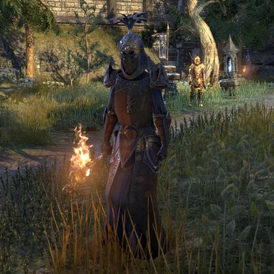 Online:Covenant Mage Guard - The Unofficial Elder Scrolls Pages (UESP)