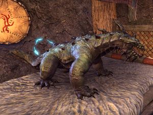 Online:Wamasu Hatchling - The Unofficial Elder Scrolls Pages (UESP)