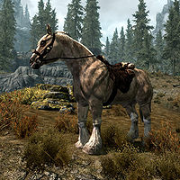 Skyrim:Horses - The Unofficial Elder Scrolls Pages (UESP)