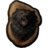 SR-icon-construction-Mounted Bear Head.png