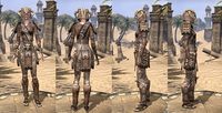 ON-item-armor-Iron-Barbaric-Female.jpg