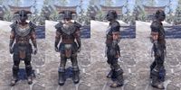 ON-item-armor-Nord Heavy 2 Male.jpg
