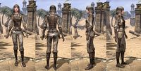 ON-item-armor-Rawhide-SoulShriven-Female.jpg