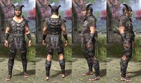 ON-item-armor-Wood Elf Heavy 1 Male.jpg