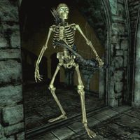 Skyrim Are Vampires Undead