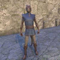 Rawhide-Laced Riften Jerkin (male)