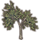 ON-icon-furnishing-Tree, Forked Blackwood Elm.png
