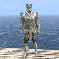 ON-item-armor-Jephrine Paladin (male).jpg