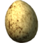 SR-icon-ingredient-Hawk's Egg.png