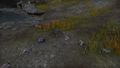 Thumbnail for version as of 14:49, 17 May 2025
