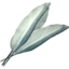 SR-icon-ingredient-Felsaad Tern Feathers.png