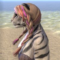 ON-hairstyle-Color Streaked River Braid (Khajiit) 02.jpg