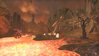 ON-place-Ashen Forest 03.jpg