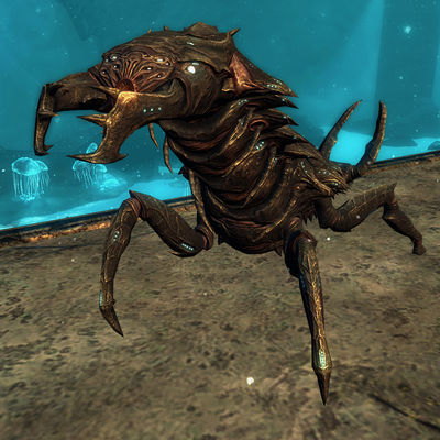 Skyrim:Chaurus - The Unofficial Elder Scrolls Pages (UESP)