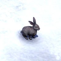 ON-creature-Rabbit.jpg