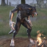 ON-creature-Salazar the Wolf.jpg