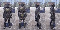 ON-item-armor-Nord Heavy 3 Male.jpg