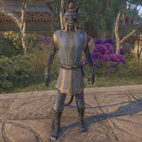 Lore Khajiit The Unofficial Elder Scrolls Pages Uesp