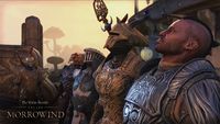 ON-trailer-Morrowind Gameplay Trailer Thumbnail.jpg