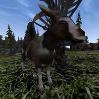 TD3-creature-Goat.jpg