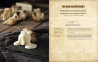 BK-misc-Official Cookbook Elsweyr Fondue.jpg