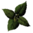 BS5C-icon-ingredient-MagusMint.png