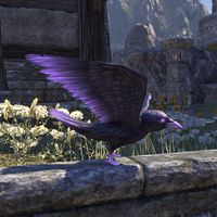 ON-creature-Glow Raven.jpg