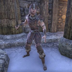Online Bruma Guard The Unofficial Elder Scrolls Pages Uesp