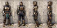 ON-item-armor-Arkthzand Armory Medium Female.jpg