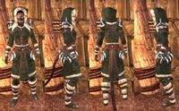 ON-item-armor-Frostcaster Light (Robe).jpg