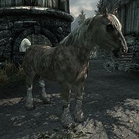 Skyrim:Horses - The Unofficial Elder Scrolls Pages (UESP)