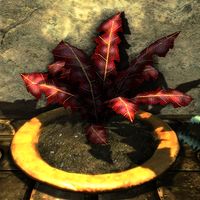 Skyrim Crimson Nirnroot Map Skyrim:crimson Nirnroot - The Unofficial Elder Scrolls Pages (Uesp)